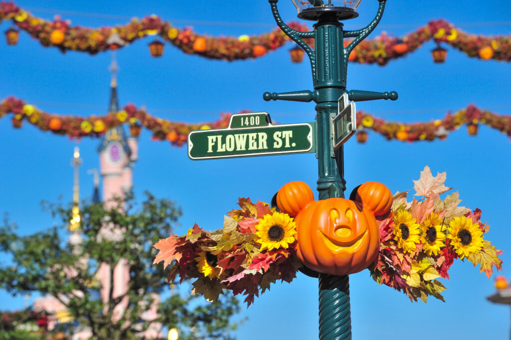 Disney Halloween Festival - © Disney