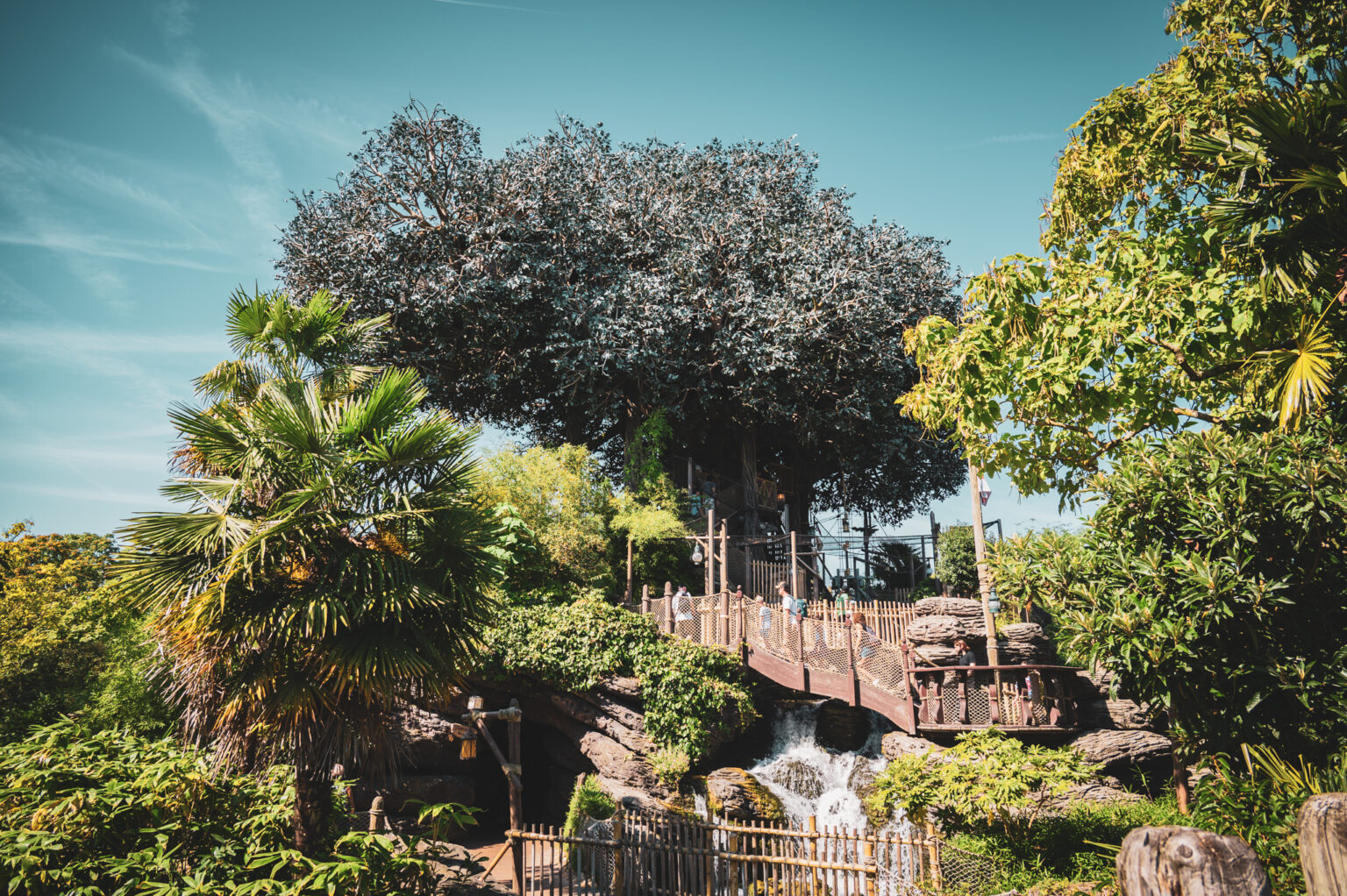 La Cabane des Robinson © DLP Explorers