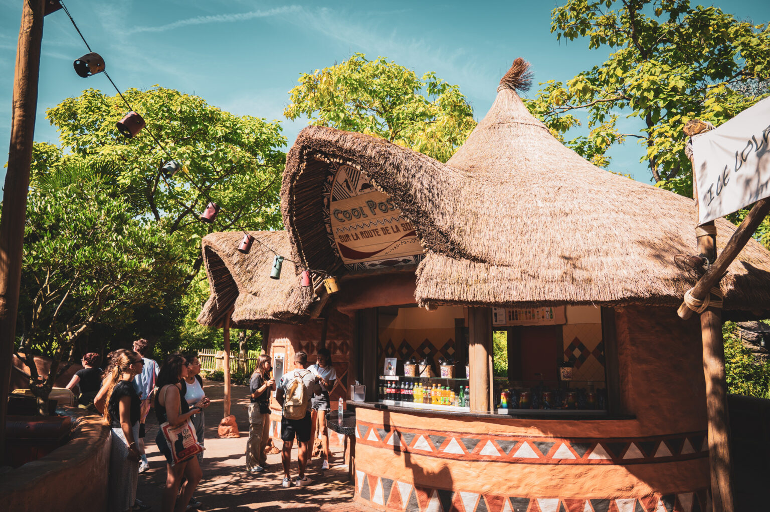 Cool Post © DLP Explorers