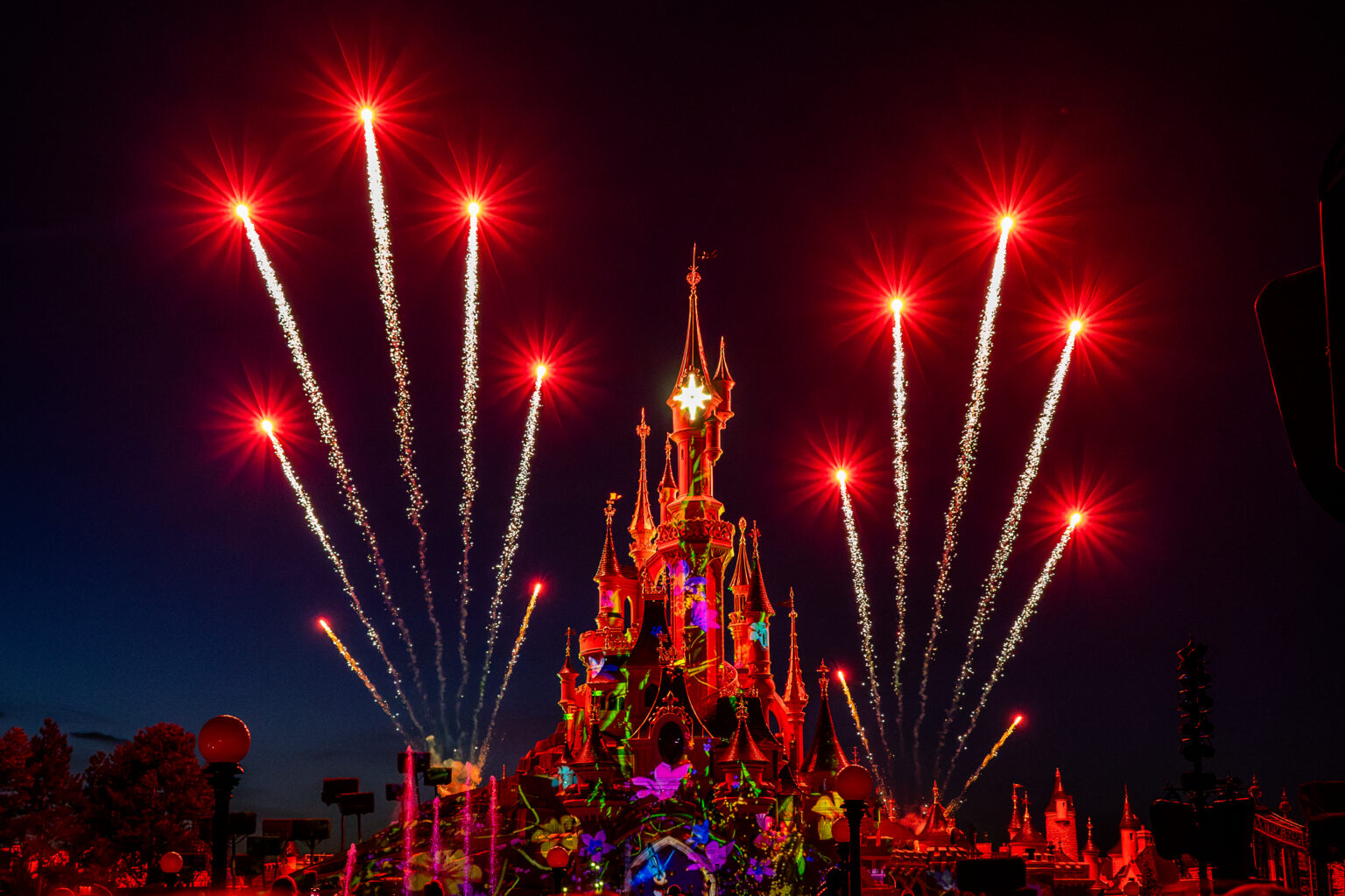 © DLP Explorers