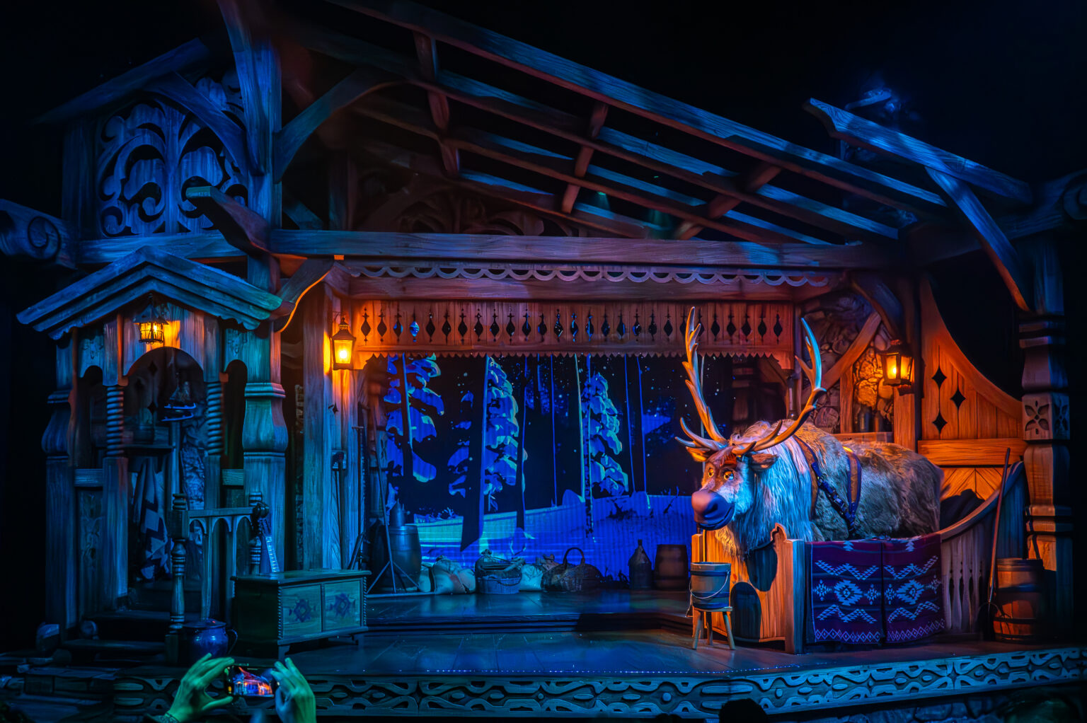 © DLP Explorers